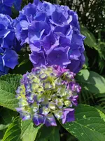 IMG_20220714_113009.webp