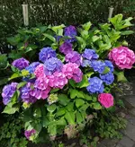 IMG_20220714_113026.webp