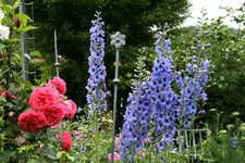 Juni8816tPG.webp