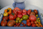August0208.jpg