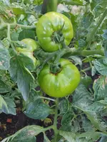 20220713_194703.webp