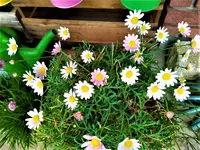 IMG_20210625_151544_1.webp