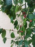 IMG_0128.JPG