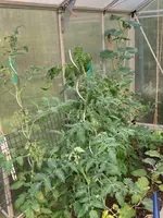 image13.jpeg