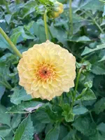 image2.webp