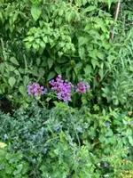 image3.webp