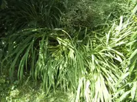 BILD0219.webp