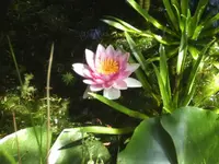 BILD0106.webp