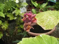 BILD0080.webp