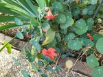 IMG_20220715_101032_1.jpg