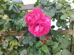 IMG_20220715_101612.jpg