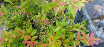 20220715_071430.webp