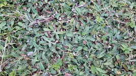 20220710_210307.webp