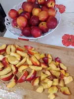 IMG_20220715_150505.webp