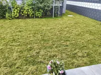 IMG_20220716_110900.webp