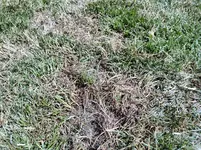 IMG_20220716_132447.webp