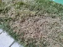IMG_20220716_132458.webp