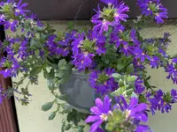 D15D55C2-505F-4AC2-98E4-FC90C78DF50A.webp