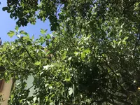 21654178-AE83-45F9-B455-603021C1C627.webp