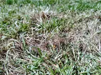 IMG_20220716_143958.webp