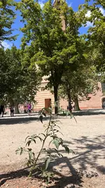 D4712506-6353-4D67-84EF-C7C7C9143321.webp
