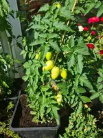 20220716_171805.webp