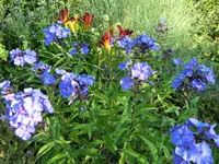 DSCF2975 (2).webp