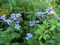 DSCF2978 (2).webp