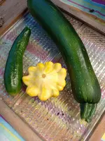 IMG_20220716_130510.webp