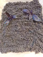 IMG_20220716_120810.webp