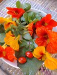 IMG_20220716_094108.jpg