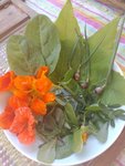 IMG_20220717_094534.jpg