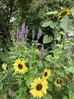 74F891B8-9313-49A1-84AA-5B1EDAF5A2B1.webp