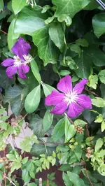 IMG_20220710_181409.webp