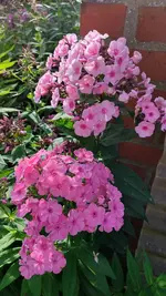 20220717_183142.webp
