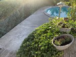 IMG_0043.jpeg