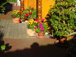 DSC02573.JPG