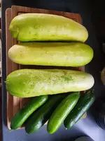 20220717_090422.webp