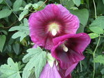 DSCF3012.JPG