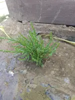 IMG_20220718_084622.webp