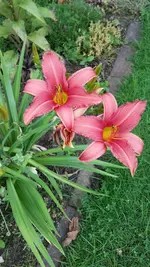 20220709_094043.webp