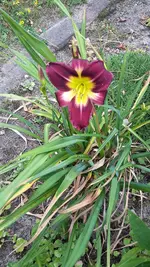 20220709_094023.webp