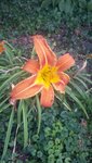 20220705_163941.jpg