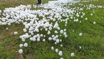IMG-20220717-WA0007.jpg