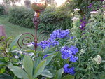 DSC02575.JPG
