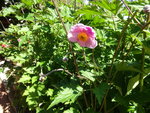 DSC02577.JPG
