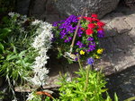 DSC02587.JPG