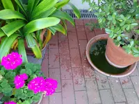 DSC02579.JPG