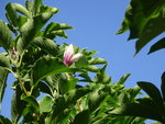 DSC02576.JPG