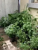 image3.webp